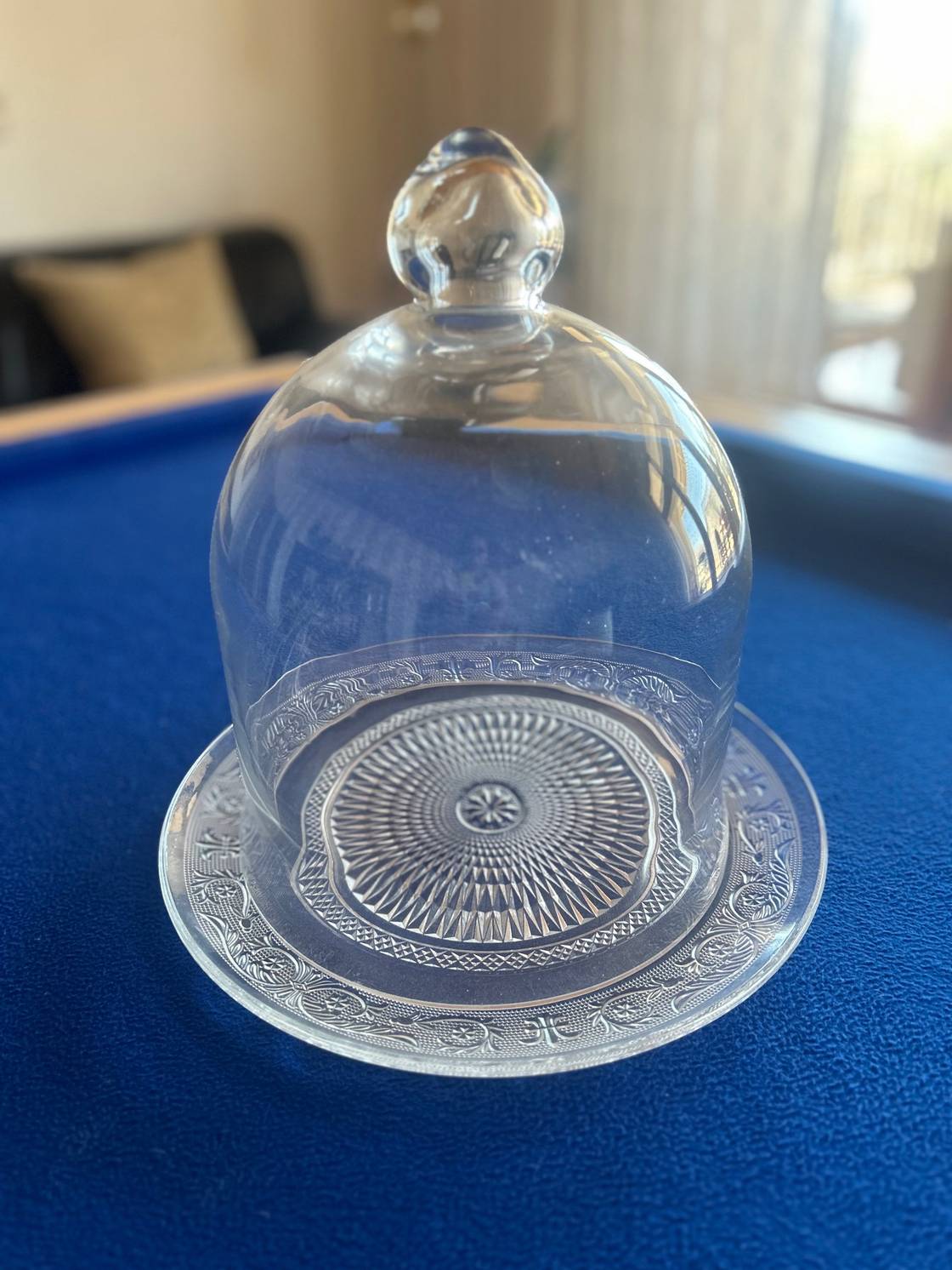 Glass Dome with Glads plate 