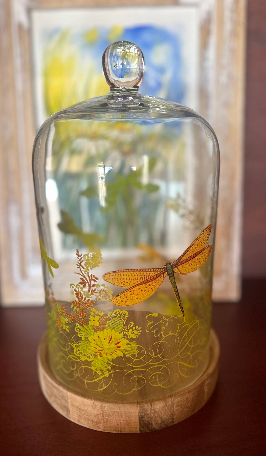 Dragonfly printed Glass Dome with Wooden base 