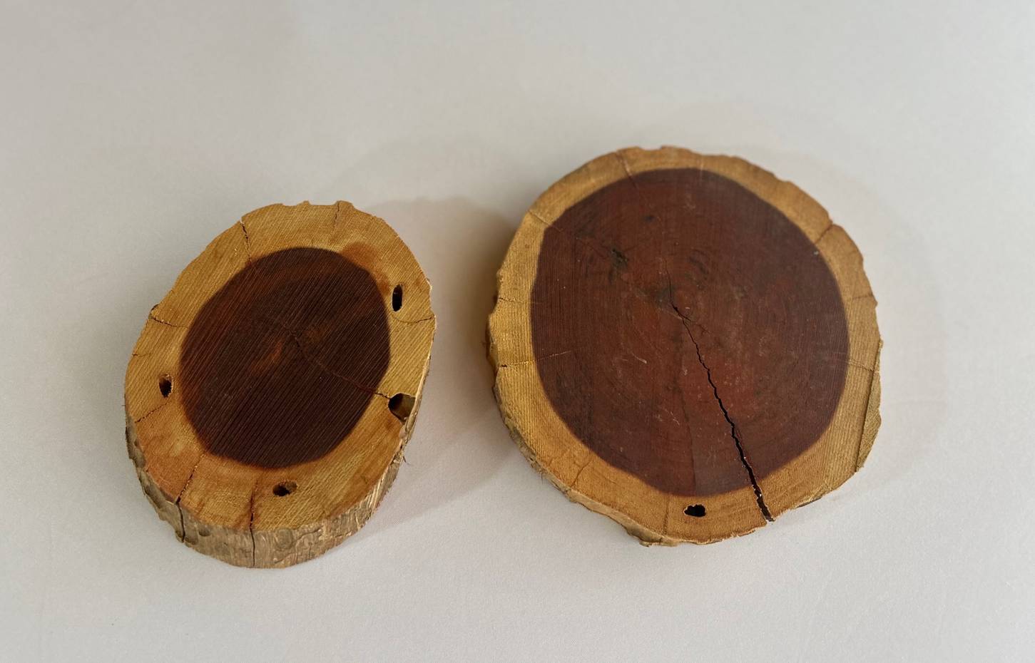 Wooden Centre Piece Discs