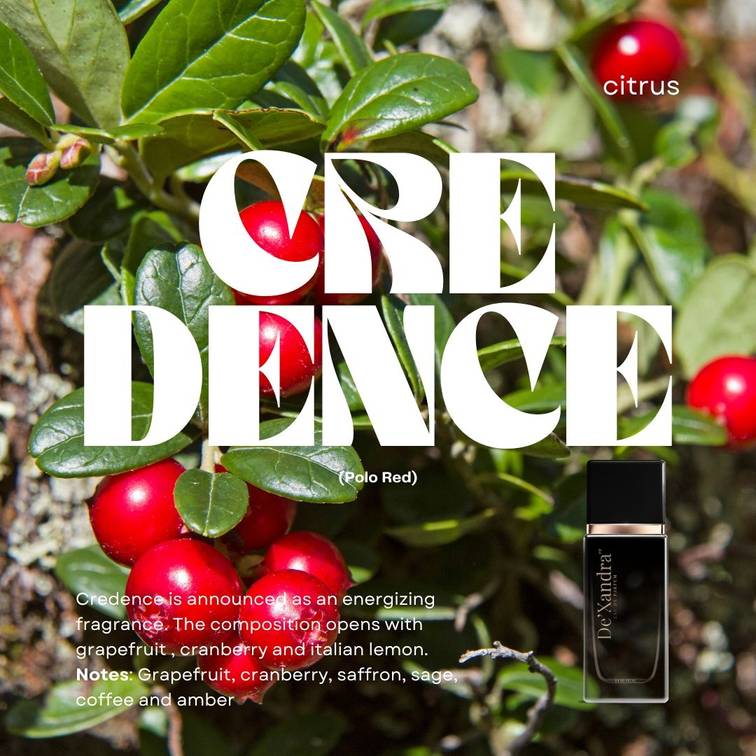 EDP Credence 35ml